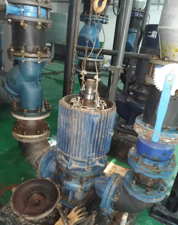 電機(jī)如何適應(yīng)變頻起動(dòng)新技術(shù)——西安西瑪電機(jī)（西安西瑪電機(jī)集團(tuán)股份有限公司）官方網(wǎng)站