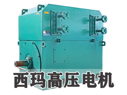 高壓電機常見問題解析：絕緣故障的原因與解決措施